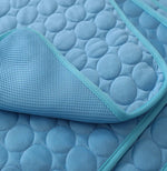 DressyPad – Tapis Rafraîchissant pour Chien & Chat