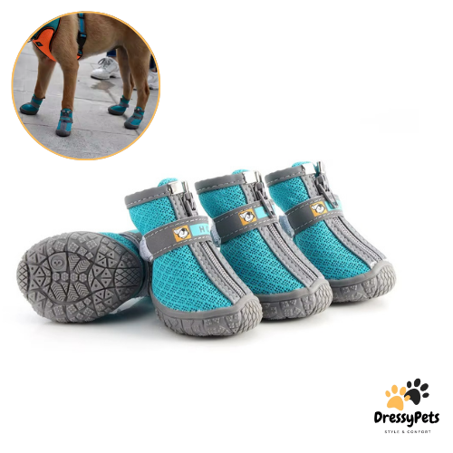 DressyPaws – Bottes Antichaleur pour Chiens et Chats