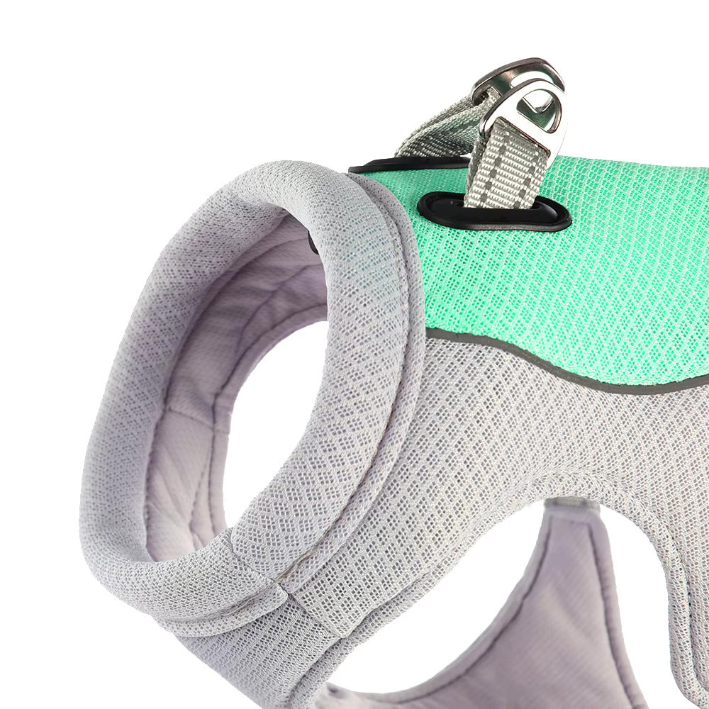 DressyCool – Veste Rafraîchissante Été pour Chien
